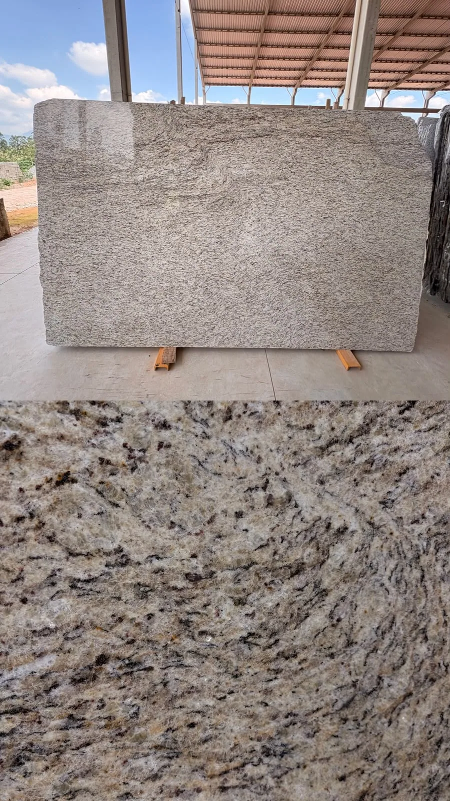 Chapa de Granito Amarelo Ornamental — foto real
